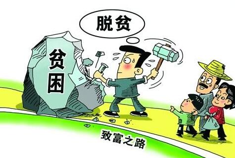 今天州委常委会会议研究了这些事项!