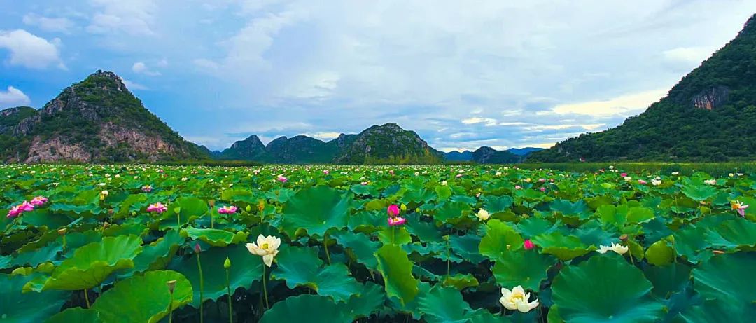 丘北普者黑水乡:三生三世,神魂"滇"倒