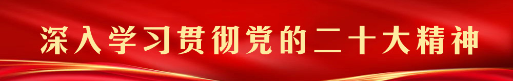 用实际行动接续推进乡村振兴—我州边境干部群众掀起学习贯彻党的