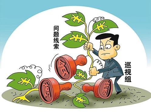 巡视1.jpg