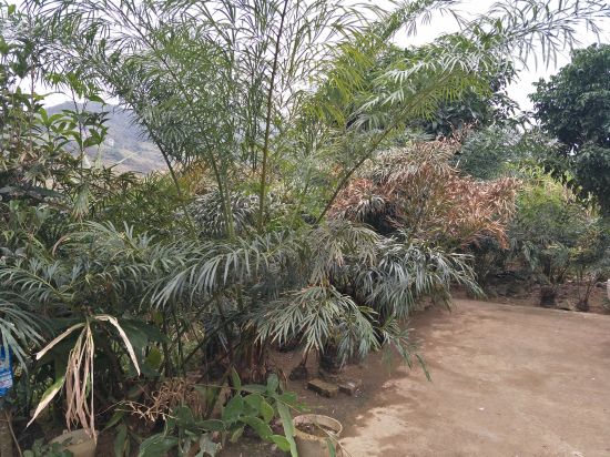 IMG20181225113856.jpg