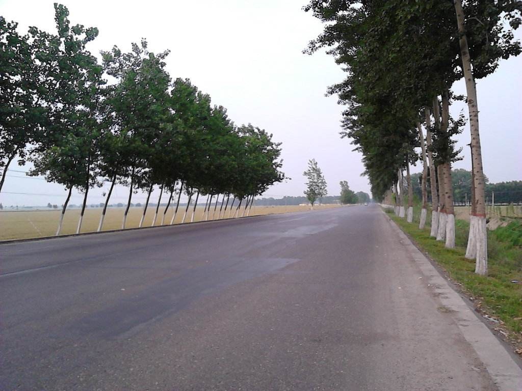 gonglunongcun.jpg