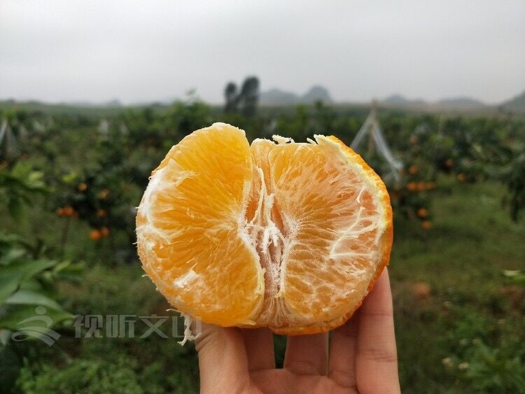 QQ图片20191025165107.jpg