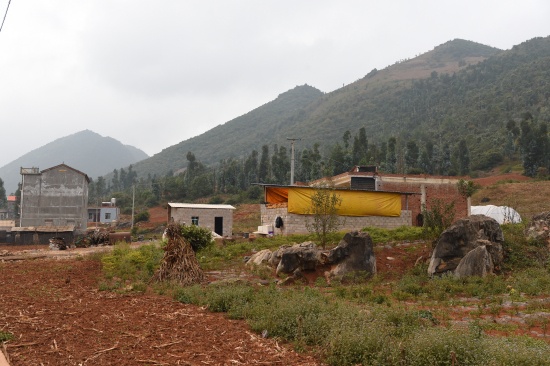 DSC_4741.jpg