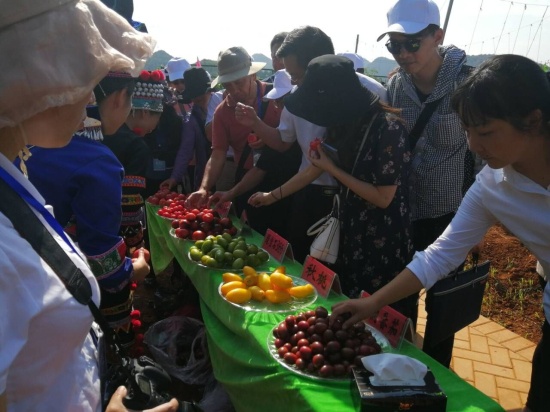 QQ图片20190813155405.jpg