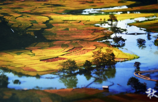 DSC_2411.JPG DSC_2411.JPG