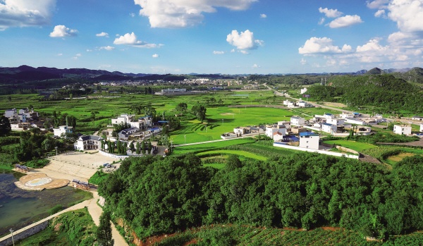 靓丽新农村.jpg