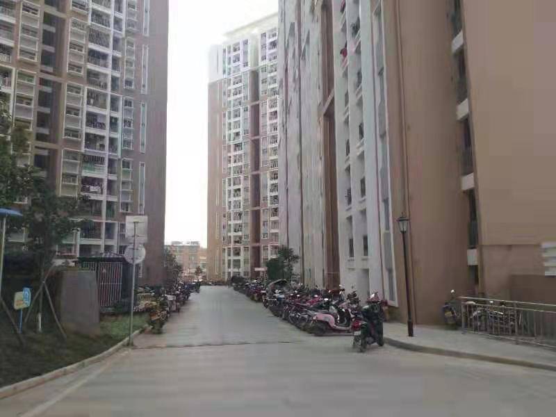 QQ图片20191223153942.jpg