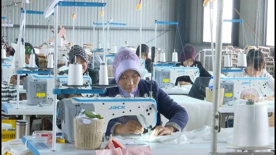 档卡户杨庆妃.jpg