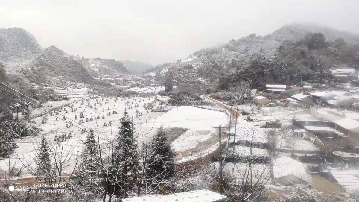QQ图片20191205084902.jpg
