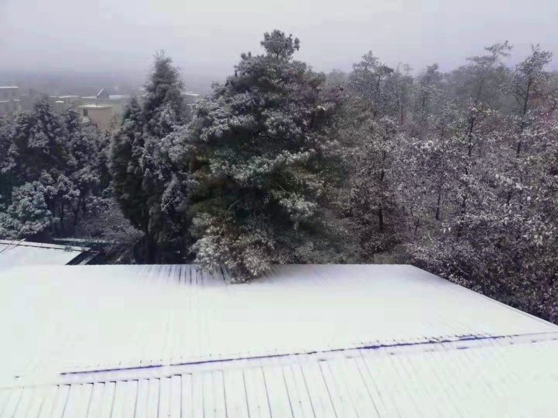 QQ图片20191205084926.jpg