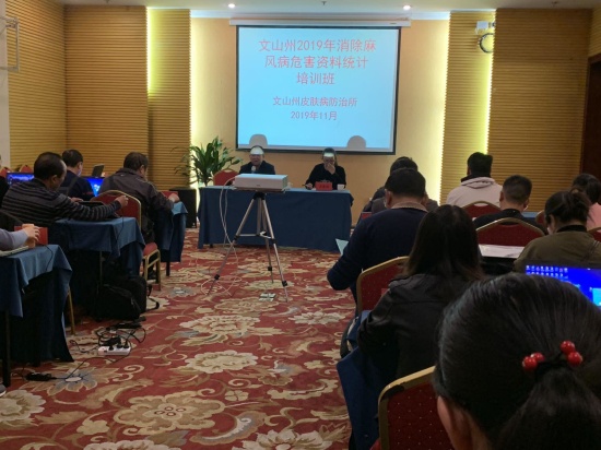 21文山州开展对各县消麻工作培训会.jpg