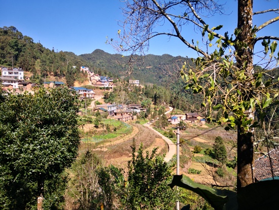 IMG_20191206_130700.jpg