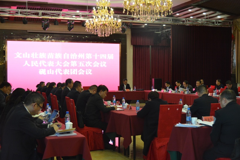 砚山代表团审议.jpg