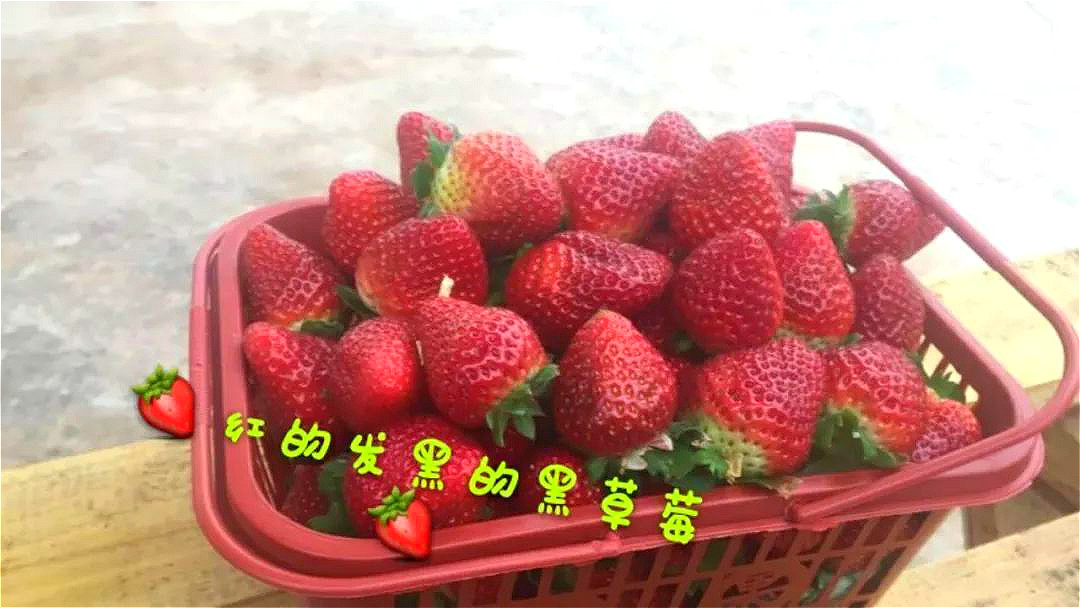 t013c32339dcb674c7c.jpg