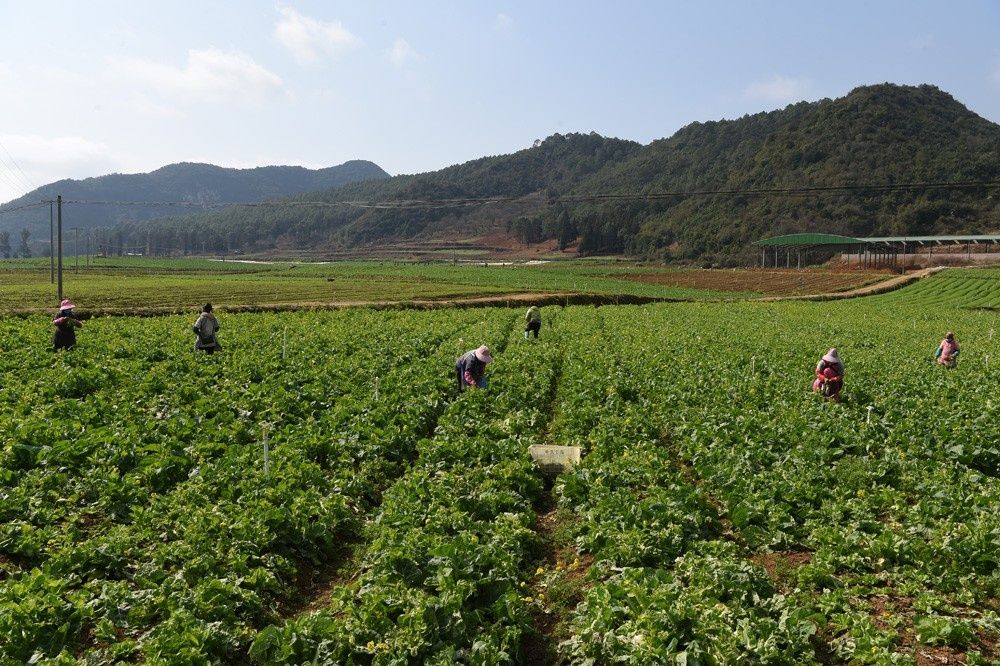 DSC_7035.JPG DSC_7035.JPG