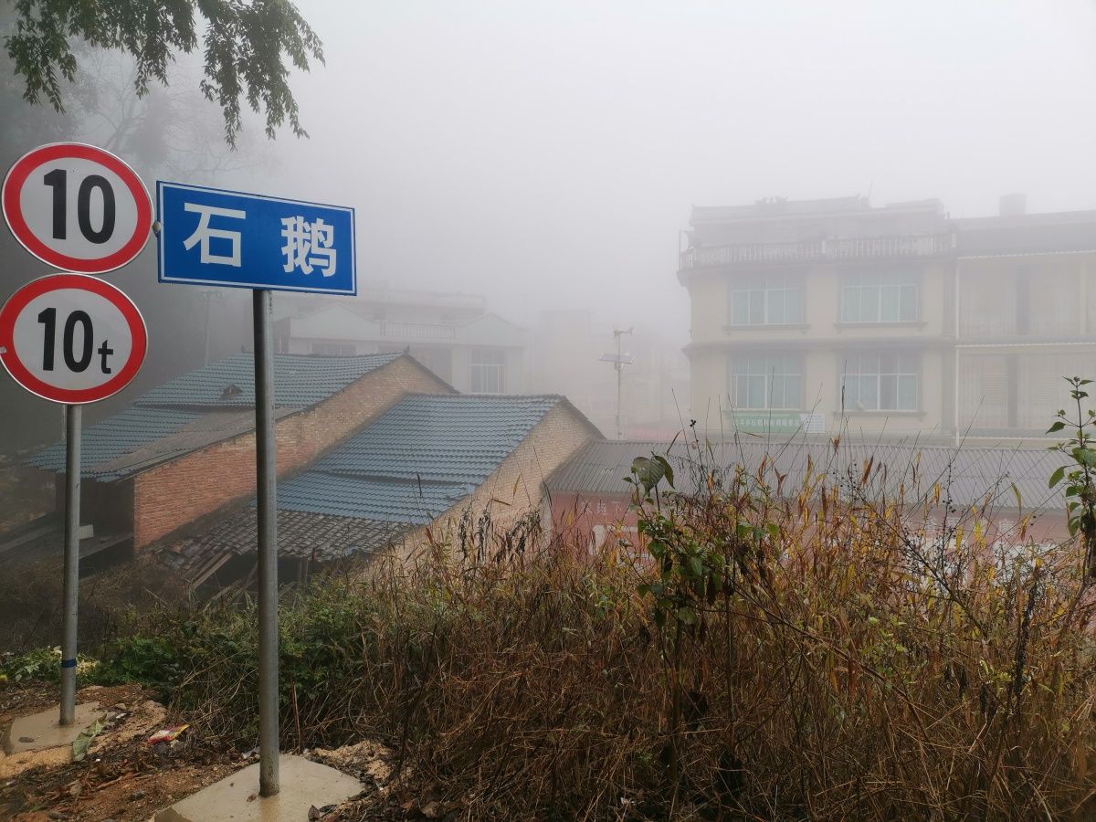 QQ图片20200205183245.jpg
