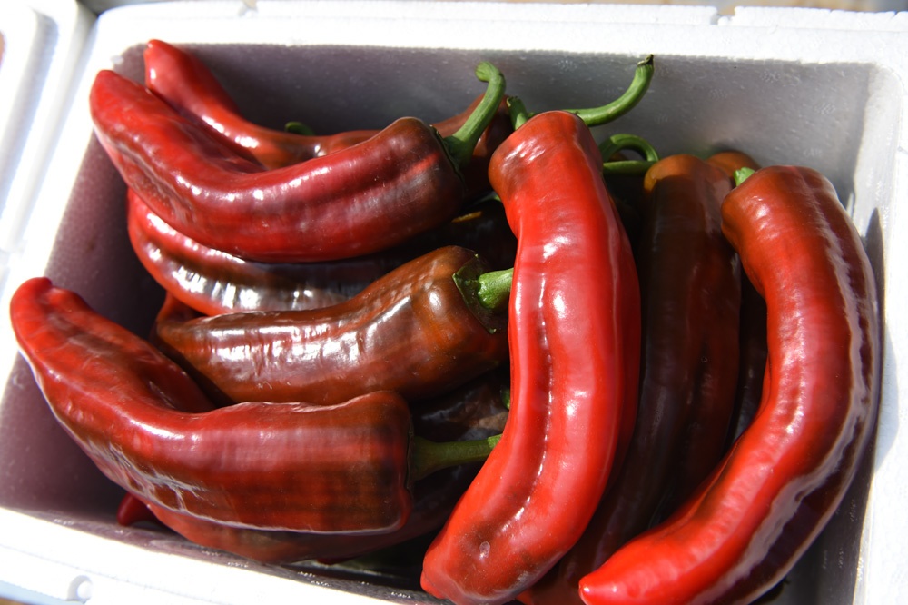 DSC_7053.JPG DSC_7053.JPG