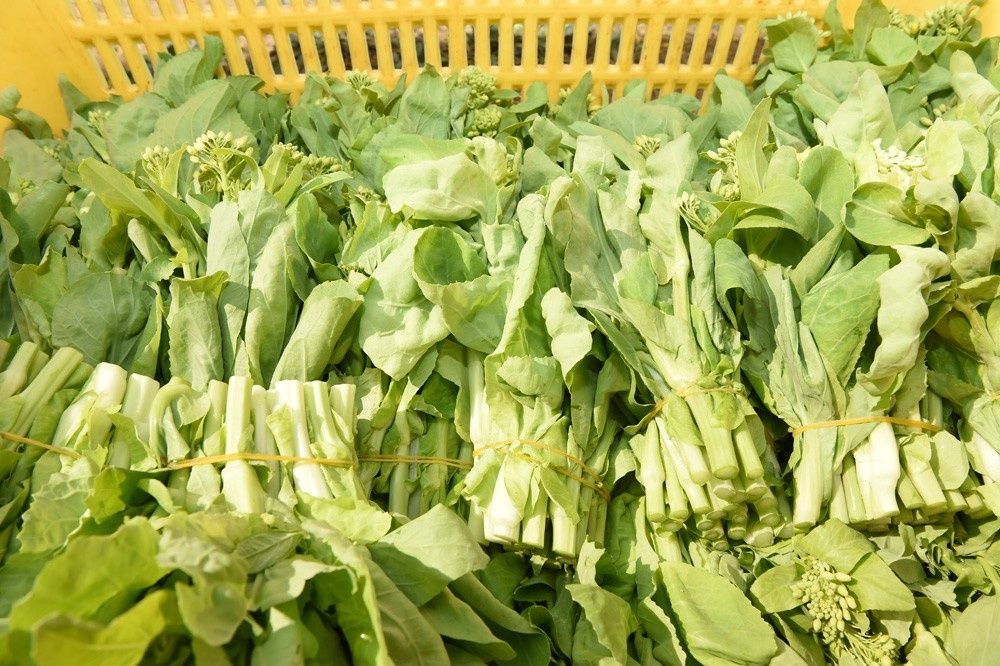 DSC_7051.JPG DSC_7051.JPG