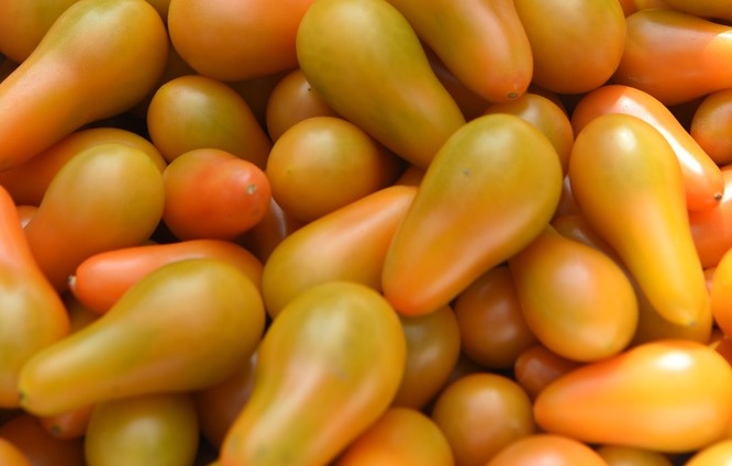 DSC_7054.JPG DSC_7054.JPG