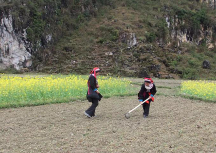 麻栗坡铁厂乡坚持疫情防控和经济社会发展“两手抓、两不误”2022.png
