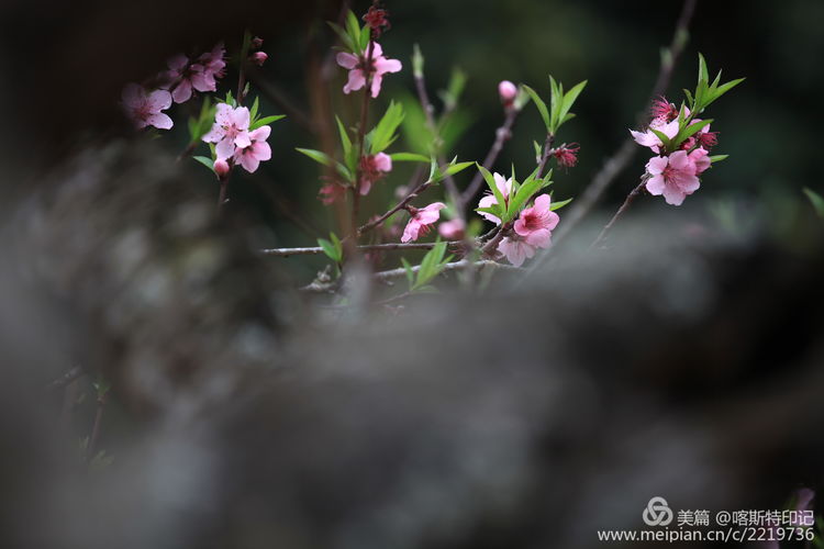 d800b080-5b95-11ea-b9f6-0b25d1d1d09a.jpg