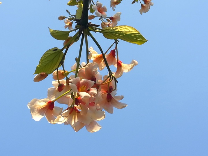 IMG_20200315_195815.jpg