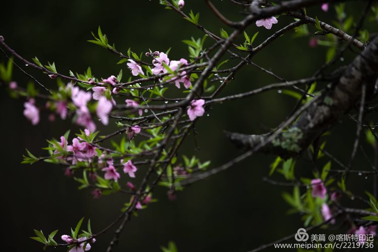 e5d75290-5b95-11ea-b9f6-0b25d1d1d09a.jpg