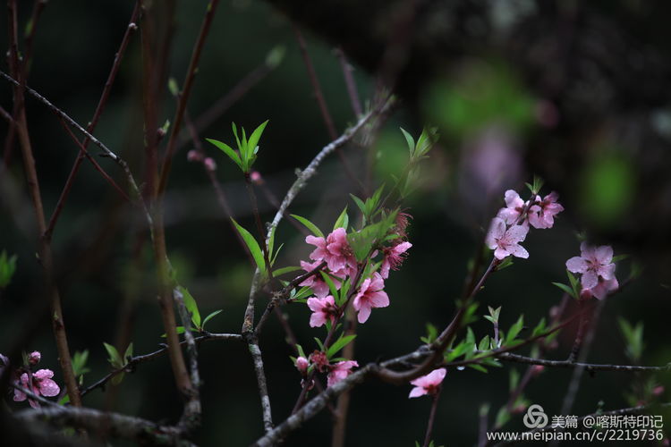 dd1224f0-5b95-11ea-b9f6-0b25d1d1d09a.jpg