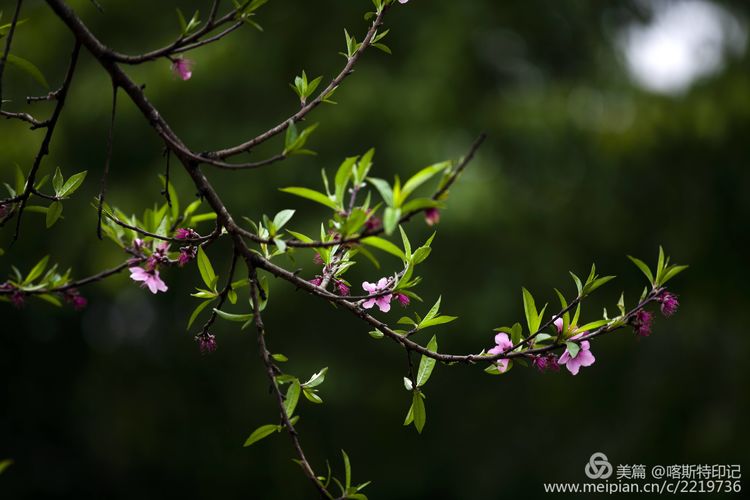 e1a76480-5b95-11ea-b9f6-0b25d1d1d09a.jpg