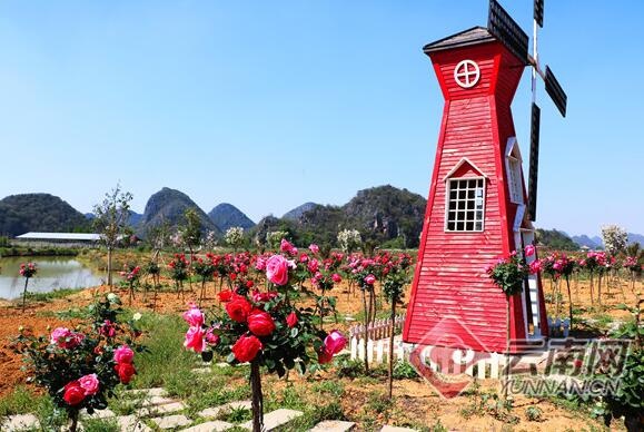 QQ截图20200416111950.jpg