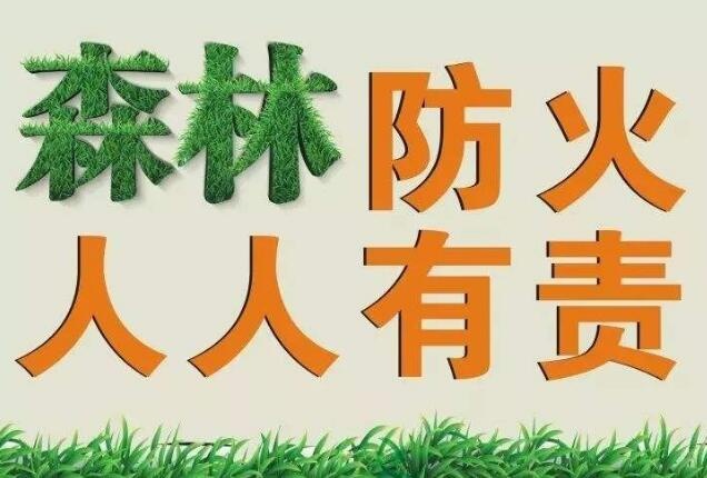 senlin防火.jpg