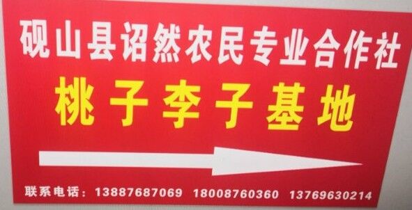 QQ图片20200519154224.jpg