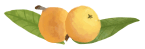 1599807167152048.gif