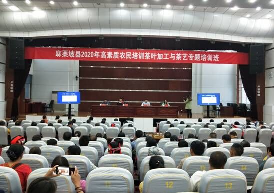 QQ图片20200927153448.jpg