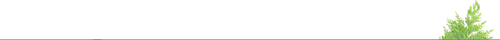 绿色线条草丛植物分割线