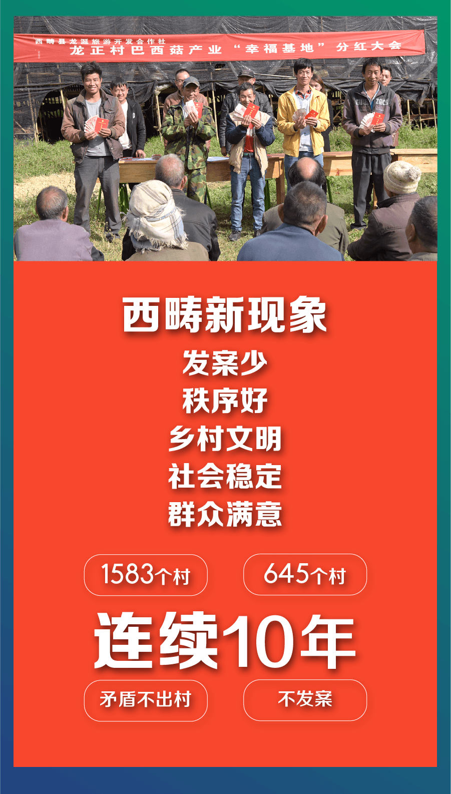 画板 421.png