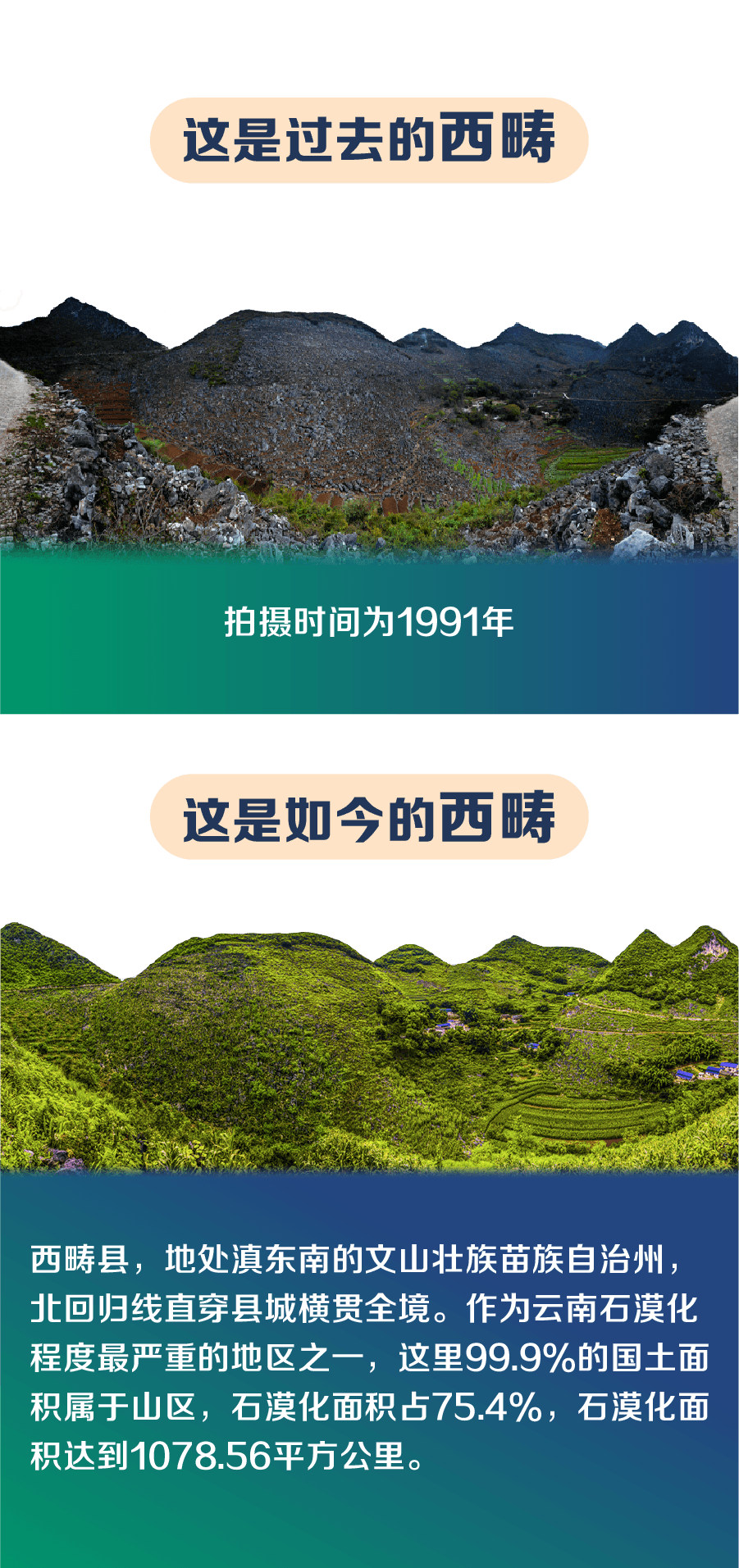 微信图片_20201116142554.png