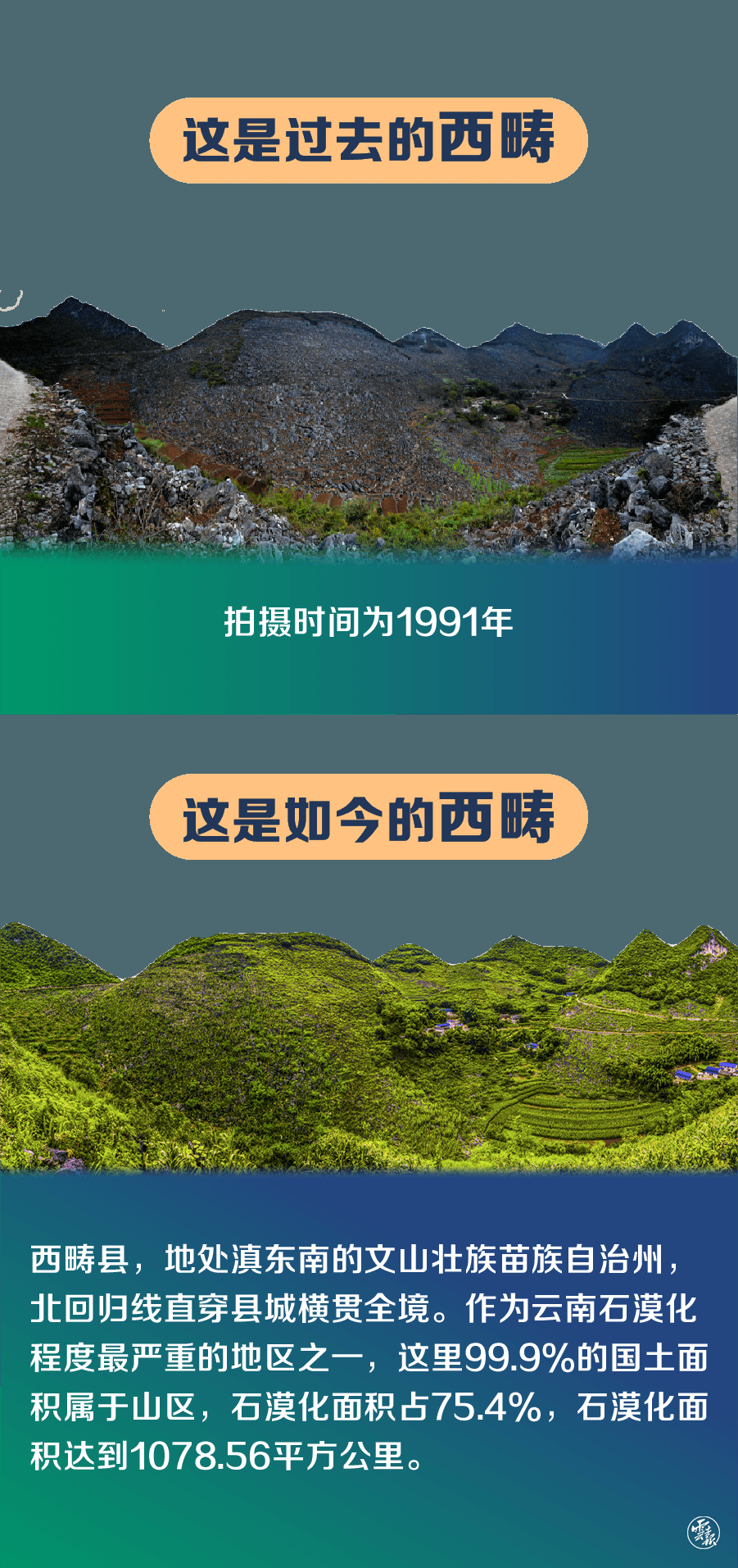 微信图片_20201116142554.png