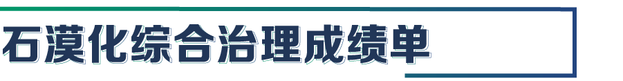 画板 411.png