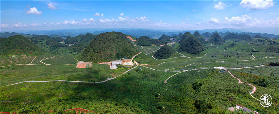 三光新貌全景图1.jpg