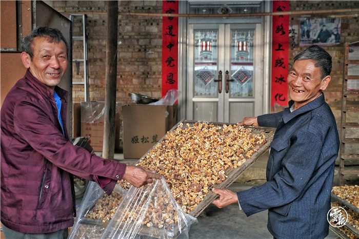 巴西菇产业带动村民增收，也带来了幸福笑脸  刘珈彤 摄.jpg