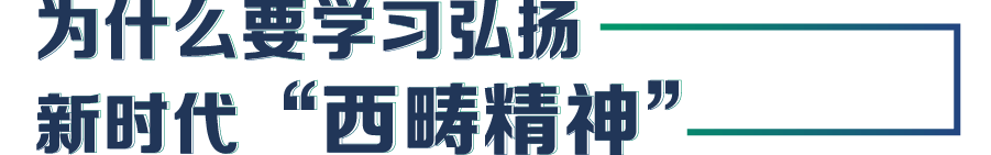 画板 331.png