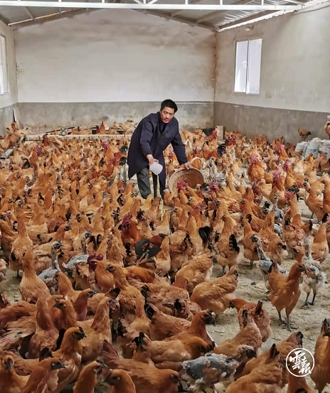 微信截图_20201117110445.png