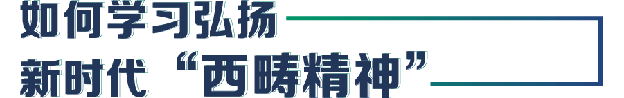 画板 311.png