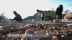 bfa4da53700ce5c65b103516912470dd.gif