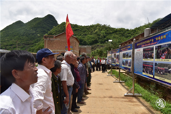 村党组织组织全村党员学习发展巴西菇产业.jpg