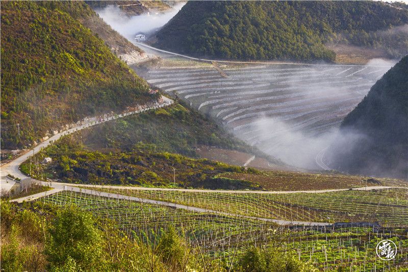 三光晨景(吕德仁摄)_Jc.jpg
