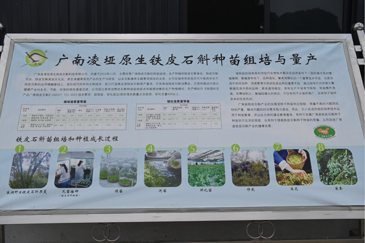 正在上传...