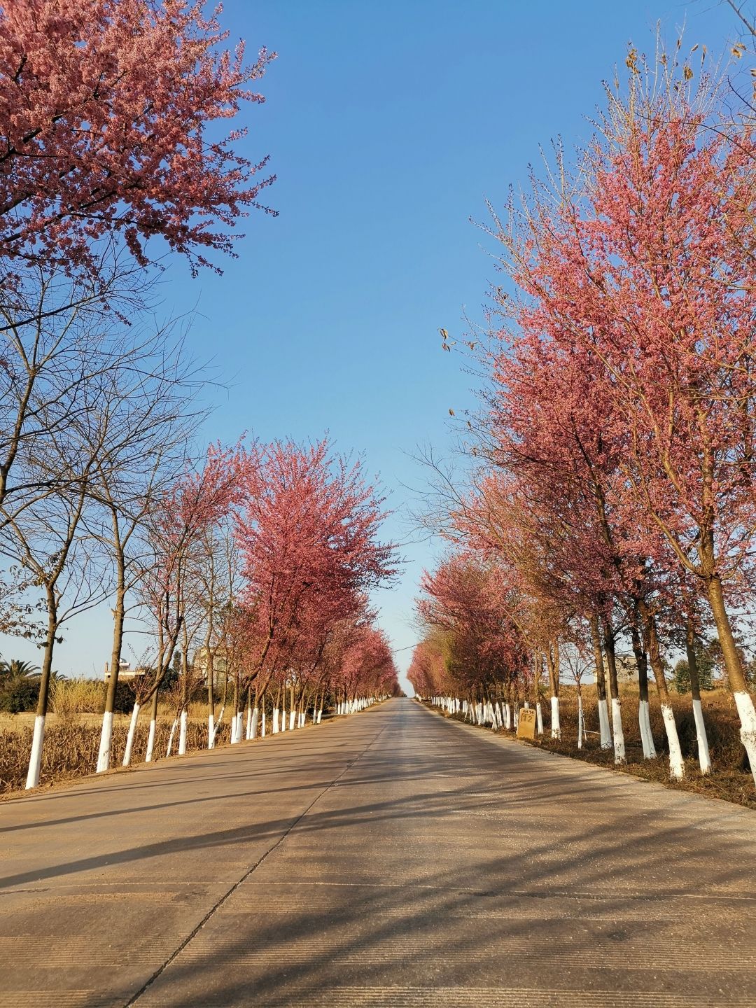 QQ图片20210120091500.jpg